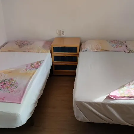 Metro La Salut Homestay